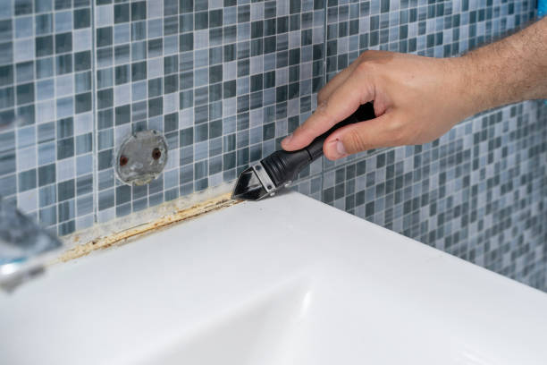 Best Home Mold Removal  in Ironde, AL