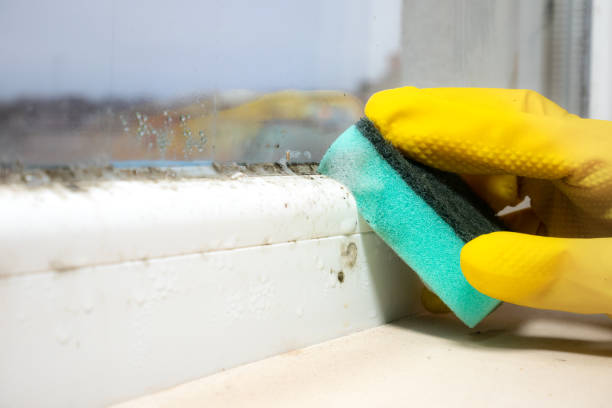 Best Mold Cleaning Services  in Ironde, AL